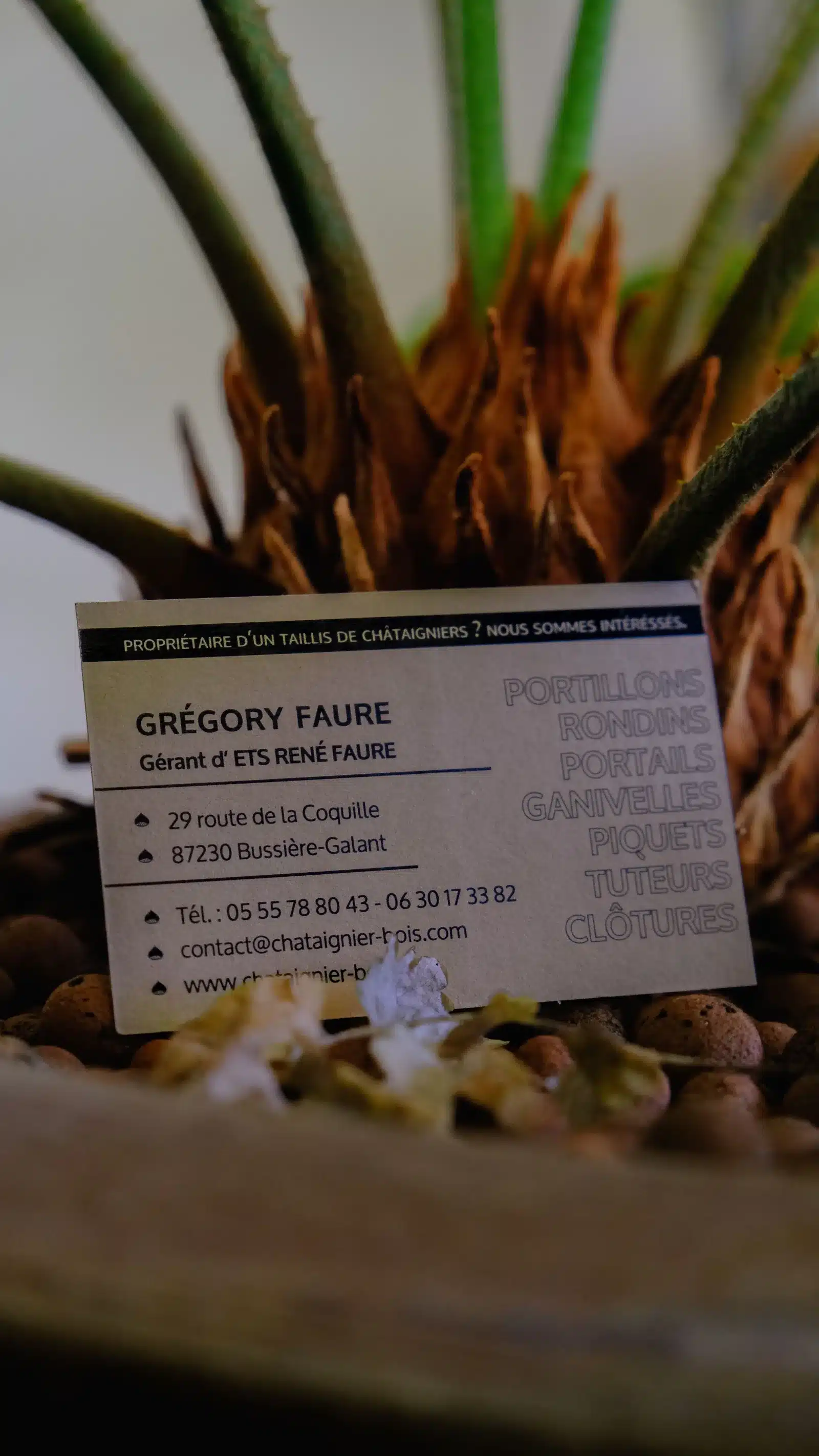 Carte de visite recto