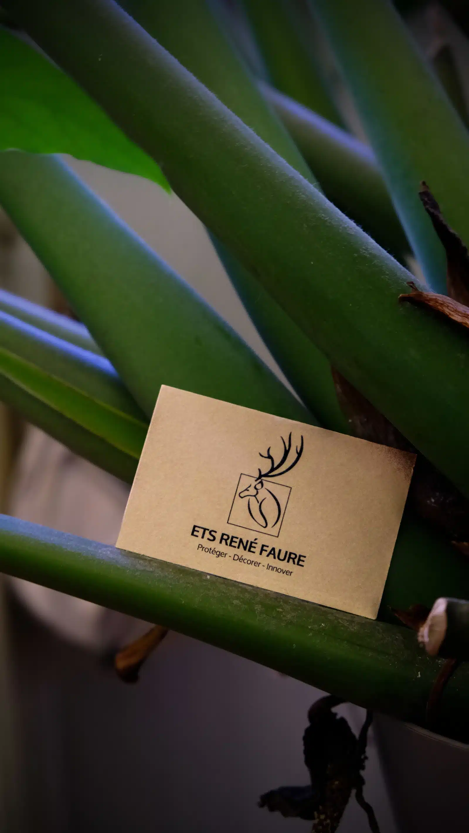 Carte de visite verso